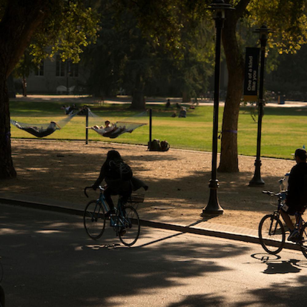 Students ride their bikes past students enjoying the hammock on the Quad on October 18, 2017 as seen from North Hall.
