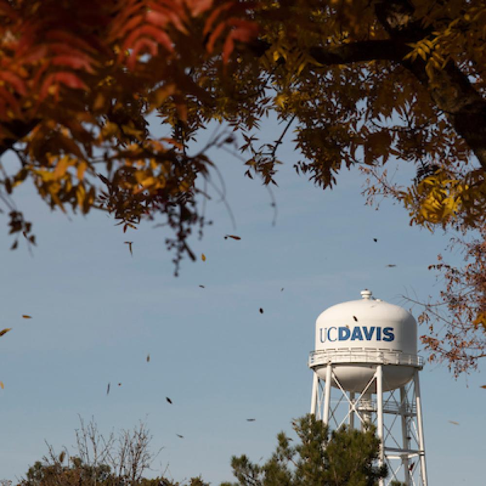 The fall colors of autumn, red and yellow, can be seen in the trees on November 28, 2022.  The wind cause a cascade of falling leaves that frame the Water Tower.