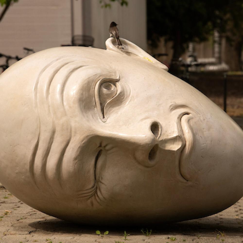 A small bird alights on the Yin and Yang Eggheads on April 17, 2024.